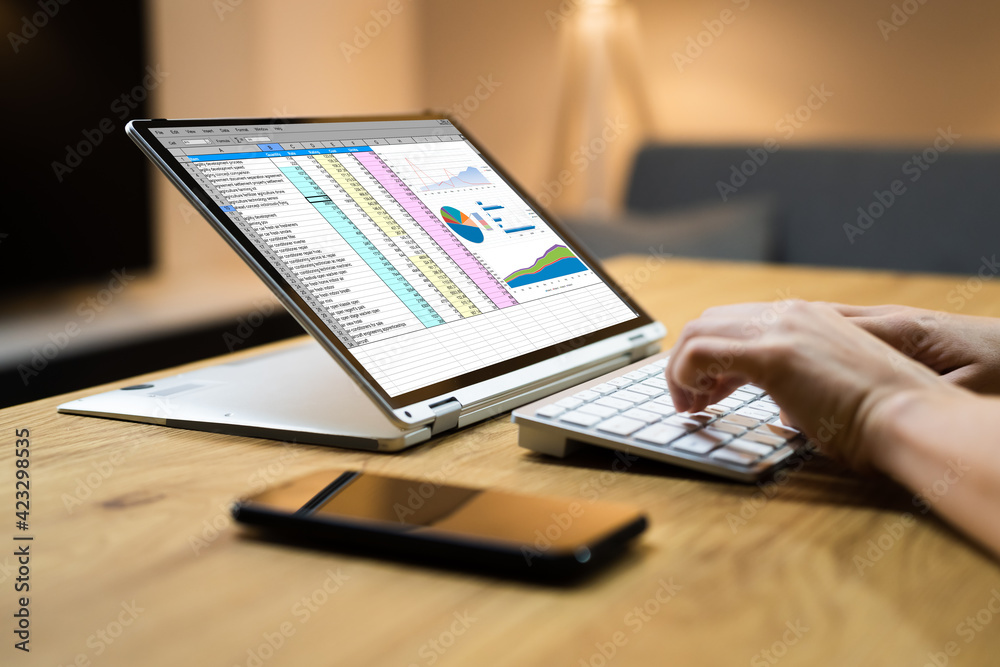 Poster electronic spreadsheet software and auditor analysis