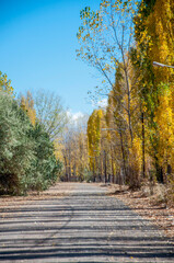 Camino de montaña