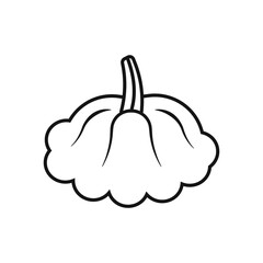 simple linear vector image drawing abstract logo icon squash  zucchini isolated black on white background