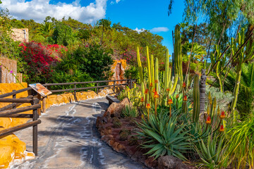 Cacti garden at Tenerife, Canary Islands, Spain
