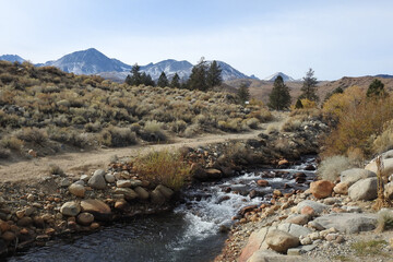 The beautiful scenery of Big Pine Creek in the Eastern Sierra Mountain wilderness, Inyo County, California.