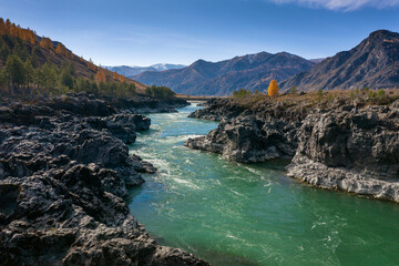 Fototapeta na wymiar Altai mountains in autumn. Katun river. Teldekpen rapids. Aerial view.