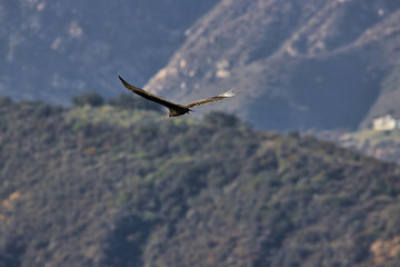 Hiking in the Carpinteria salt marsh after a passing storm