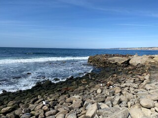 Fototapeta na wymiar Pacific ocean and sea lions on the rocks of La Jolla near San Diego California