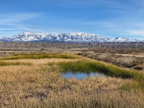 Snow in the mountains and dried grass in the foreground near San Jacinto Wildlife area in Perris, California