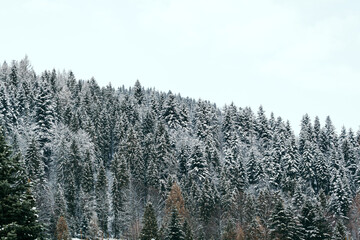 winter landscape of mountains and forests on cloudy day