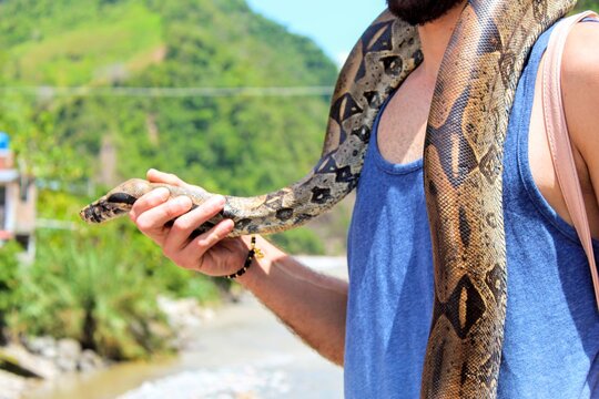 Serpiente, La Merced, Chanchamayo, Per&uacute;