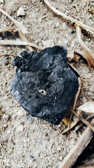 energy source, environment protection. Industrial coals. Volcanic rock, Stone meteorite from space.