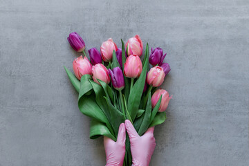 Female hand in a medical glove holds a bouquet of tulips  on a grey background..