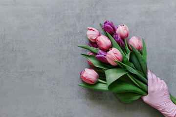 Female hand in a medical glove holds a bouquet of tulips  on a grey background.