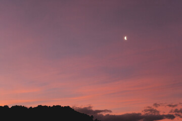 cielo rosa con luna
