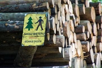 ścinka drzew w lesie, tablica ostrzegawcza