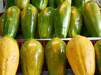 cucumbers in the market