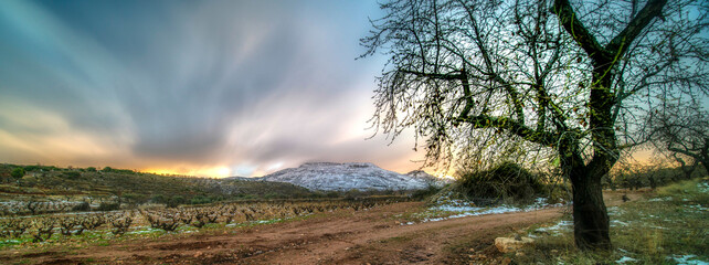 Panoramic, high altitude vineyards, landscape with vineyards and snow-capped mountains at sunset.