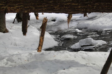 ruisseau au printemps sous un arbre