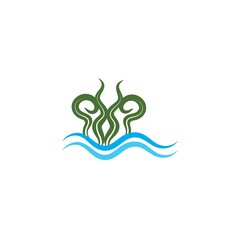seaweed icon vector illustration design template