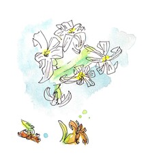 Watercolor drawing of a hyacinth on a white background
