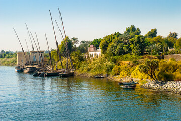 Obraz premium Feluccas are the traditional sailing ships that trade on the River Nile. The boats criss-cross the River Nile taking people and goods from one side to the other. 