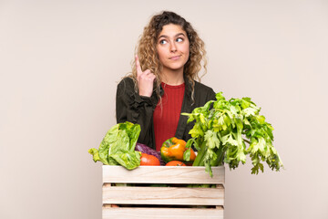 Farmer with freshly picked vegetables in a box isolated on beige background pointing with the index finger a great idea