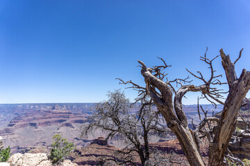 Clear skies and The Grand Canyon. that is a huge valley cut by the Colorado River.