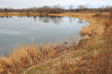Forest natural background with the lake. Beautiful early spring landscape