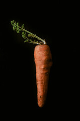 Carrot isolated on black background