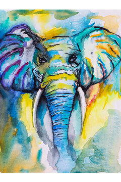 Elephant face in watercolor, blue, yellow