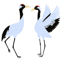 Fototapete Reiher Stellen Sie Kranvögel ein, die auf weißem Hintergrund lokalisiert werden. Schöne Vögel graue Farbe aus der asiatischen Kultur stehen und tanzen Designelement im flachen Stil.