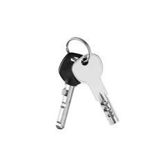 House door lock keys bunch on ring on white background isolated close up, two silver metal keys on keyring, pair of steel keys, home safety concept, design element