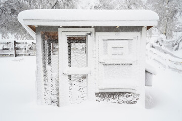very snowy chicken coop in blizzard © SETH