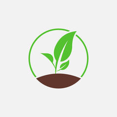 Plants icon logo vector illustration. Nature symbol.