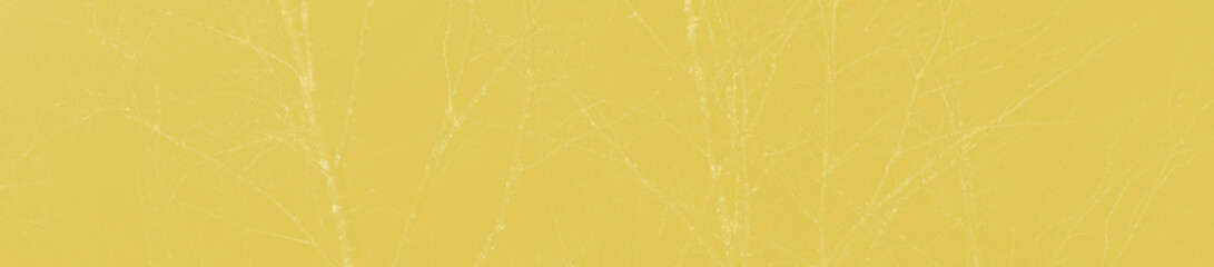 Fototapeta premium abstract light mustard color background for design