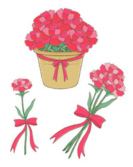 カーネーションの花。アレンジ色々
