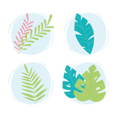 tropical leaves icons