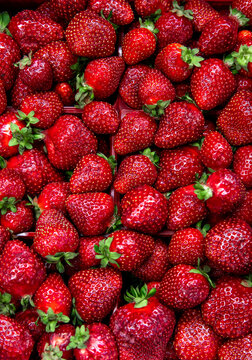 Vue du haut d'une grande quantit&eacute; de fraises rouge r&eacute;colt&eacute;s en fin de saison