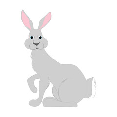 Fototapeta na wymiar Rabbit little bunny cute animal vector illustration
