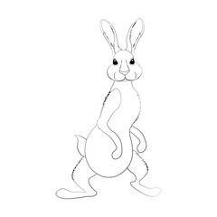 Rabbit little bunny cute animal vector illustration outline