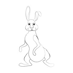 Rabbit little bunny cute animal vector illustration outline