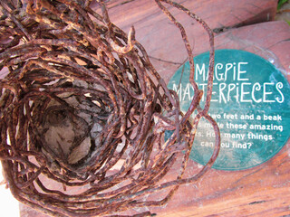 Healesville, Australia - 30 Dec 2016: Magpie's nest made of stolen steel wires. Crafty magpies will...