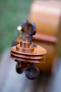 Close up of a cello.