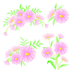 Obraz na płótnie Canvas Pinkish daisy vibrance bouquets