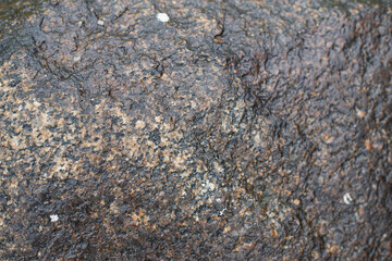 textured surface of black granite stone for background. wet stone surface from rain.