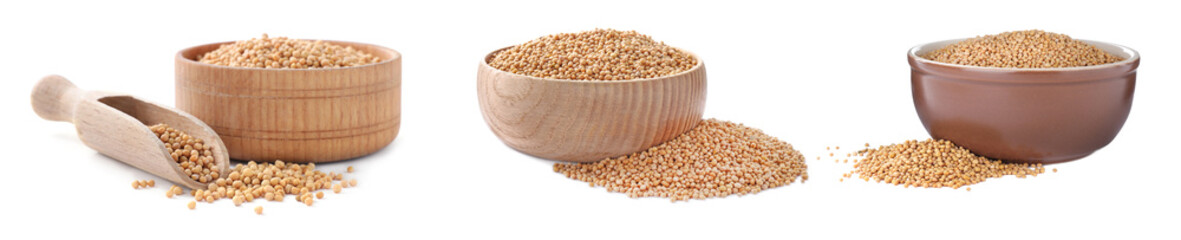 Set with mustard seeds on white background. Banner design