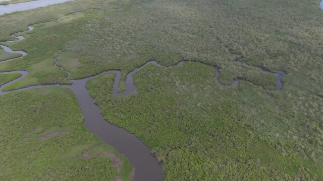 Drone de um p&acirc;ntano, pantanal, em Guaratuba, regi&atilde;o de brejo, com rios / Drone of a swamp, pantanal, in Guaratuba, wetland region, with rivers.	