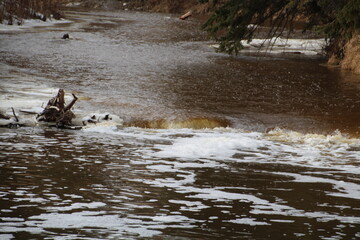 Fototapeta premium High Creek, Whitemud Park, Edmonton, Alberta