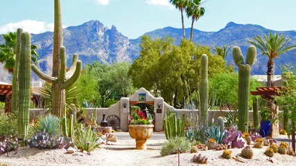 Abwaschbare Fototapete Arizona Tucson Arizona
