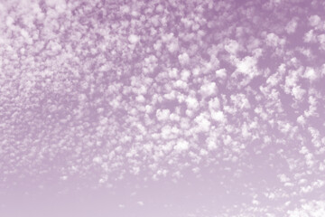 Purple sky and white clouds.