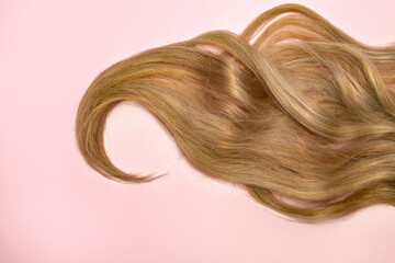 Blond hair strand on a pink background. Hair coloring and care concept.