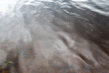 Texture of a smooth surface of water with circles from falling drops of rain. copy space.