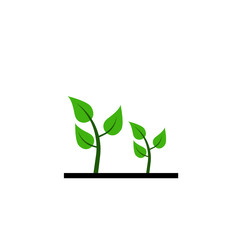 Planting tree infographic. Evolution concept.